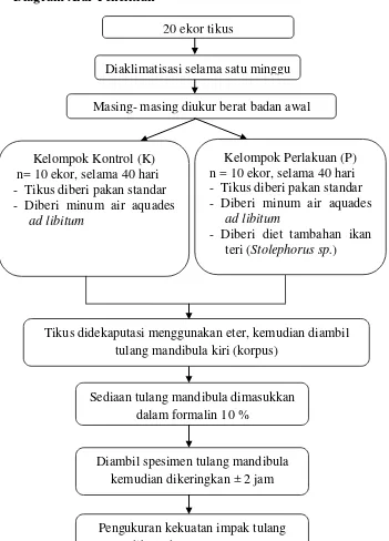 Gambar 3.1 Diagram pembuatan sediaan ikan teri (Stolephorus sp.) 