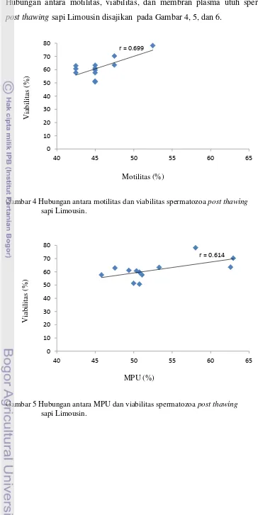 Gambar 4 Hubungan antara motilitas dan viabilitas spermatozoa post thawing  