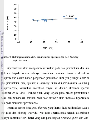 Gambar 6 Hubungan antara MPU dan motilitas spermatozoa post thawing  
