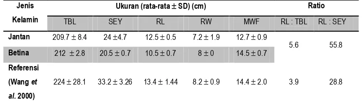 Tabel 4 Perhitungan ukuran rata-rata jantan (n=4) dan betina (n=2) Tursiops aduncus di kolam konservasi PT
