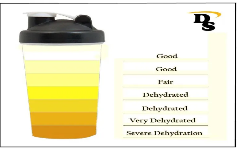 Tabel 1. Kriteria Warna Urin 