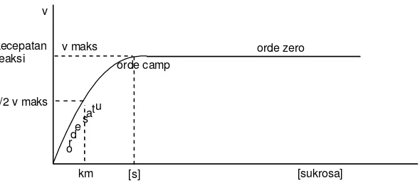 Grafik hubungan [sukrosa] dengan kecepata reaksi pada reaksi enzimatik 