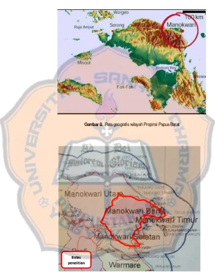Gambar 8. Peta geografis wilayah Propinsi Papua Barat