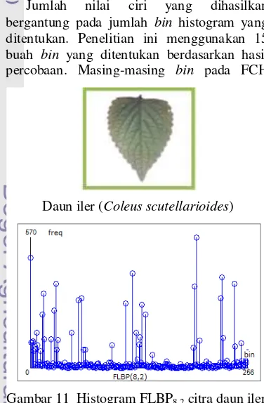 Gambar 12  Histogram FCH citra daun nanas           kerang (Rhoeo discolor). 