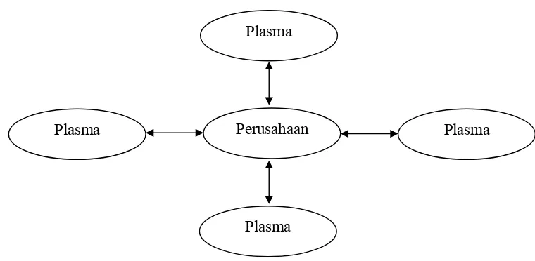 Gambar 1. Pola Kemitraan Inti-Plasma 