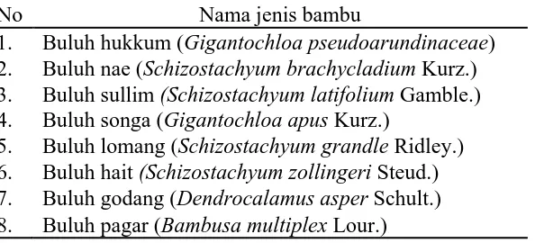 Tabel 2. Jenis  bambu   yang   ditemukan   di Hutan  Produksi  Terbatas Desa Sihombu. 