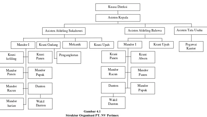 Gambar 4.1 Struktur Organisasi PT. NV Perimex