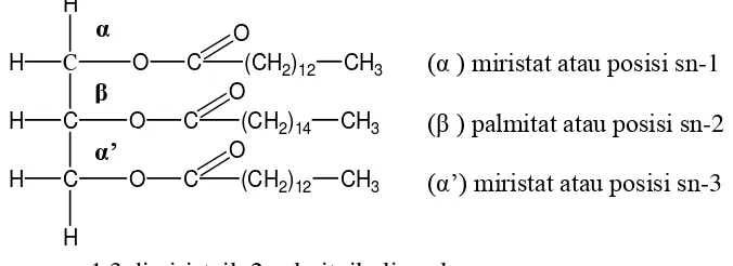 Gambar 2.1  Struktur kimia trigliserida 