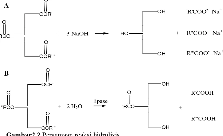Gambar2.2 Persamaan reaksi hidrolisis  