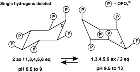 Gambar 3  Struktur konformasi asam fitat (Loewus dan Murthy 1999) 