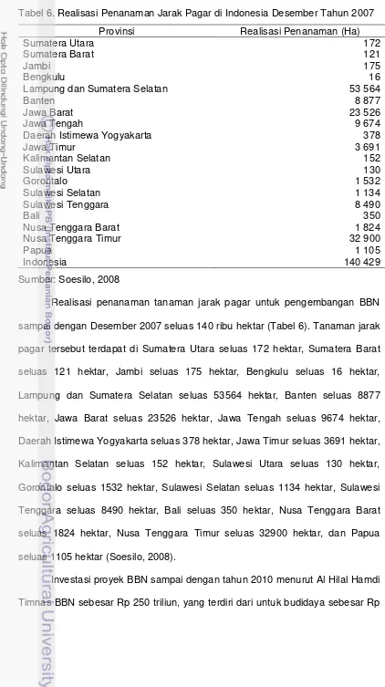 Tabel 6. Realisasi Penanaman Jarak Pagar di Indonesia Desember Tahun 2007 