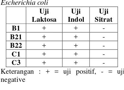 Tabel 2. Uji Biokimia 5 kultur Bakteri 