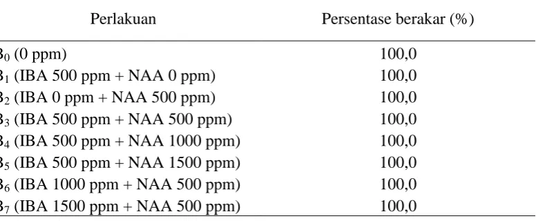 Tabel 5. Persentase berakar (%) setek tanaman buah naga pada berbagai kombinasi IBA dan NAA 