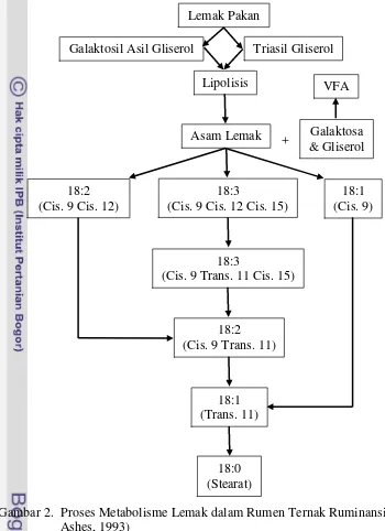 Gambar 2.  Proses Metabolisme Lemak dalam Rumen Ternak Ruminansia (Scott dan  