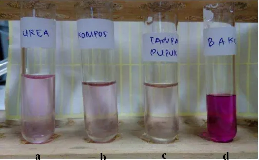 Gambar 6. Uji kualitatif nitrat dengan penambahan Larutan Besi (II) Sulfat 