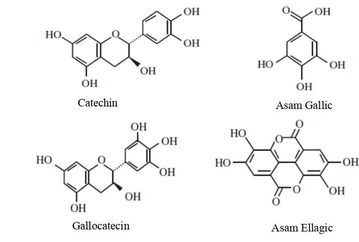 Gambar 2. Unit Monomer Tanin Terkondensasi (Catechin dan Gallocatechin) dan 
