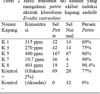 Tabel 2 Hasil frekuensi sel khamir yang 