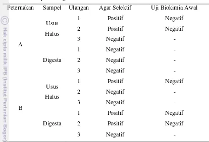 Tabel 2.  Pengamatan Keberadaan Koloni Salmonella sp. pada Saluran 