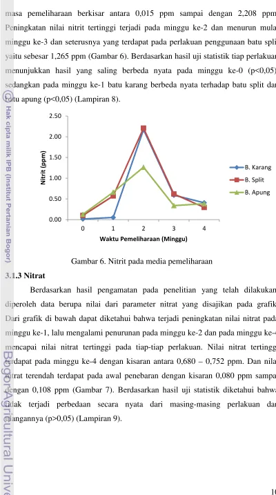 Gambar 6. Nitrit pada media pemeliharaan 