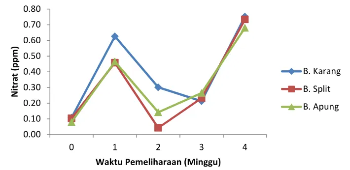 Gambar 7. Nitrat pada media pemeliharaan 