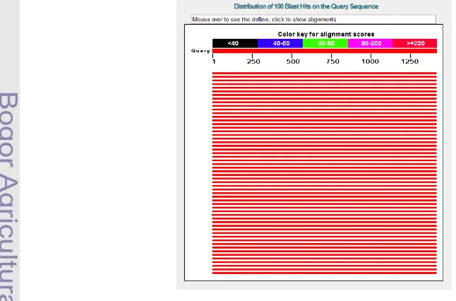 Gambar 2 Profil DNA hasil amplifikasi gen penyandi 16S rRNA dengan PCR pada 3 isolat (1) CX.10.1; (2)AJB 4(1); (3) AEP-2 