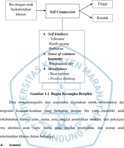 Gambar 1.1  Bagan Kerangka Berpikir 