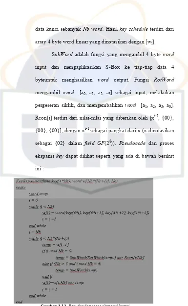 Gambar 2.13. Pseudcode proses ekspansi kunci (Sumber : http://student.ceid.upatras.gr) 