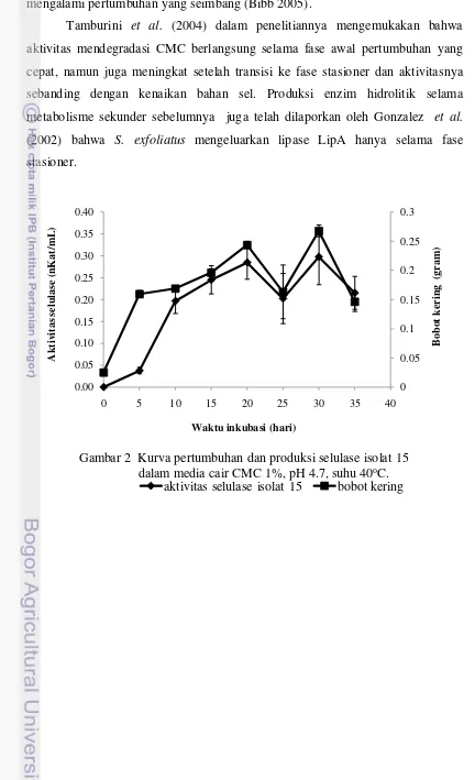 Gambar 2 Kurva pertumbuhan dan produksi selulase isolat 15