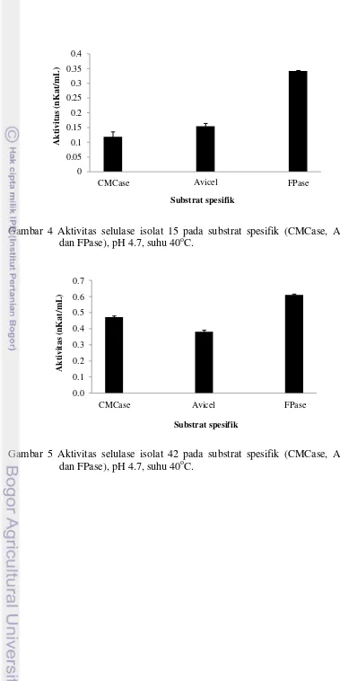 Gambar 4 Aktivitas selulase isolat 15 pada substrat spesifik (CMCase, Avicel,  o