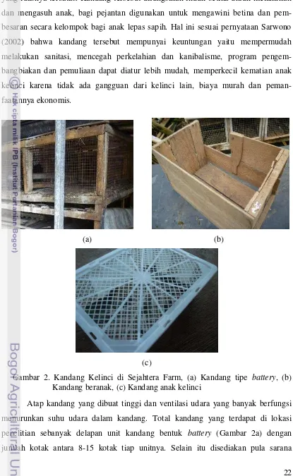 Gambar 2. Kandang Kelinci di Sejahtera Farm, (a) Kandang tipe battery, (b)   