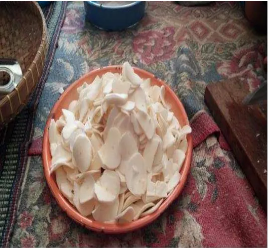 Gambar 2 Chips Tepung Mocaf 