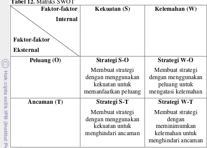 Tabel 12. Matriks SWOT 