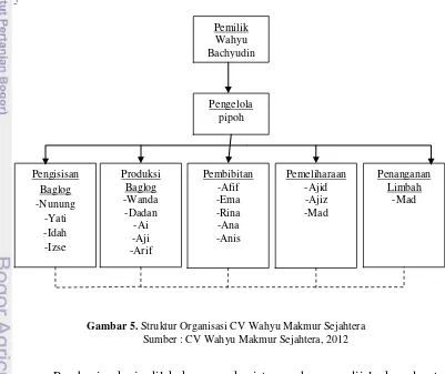 Gambar 5. Struktur Organisasi CV Wahyu Makmur Sejahtera 