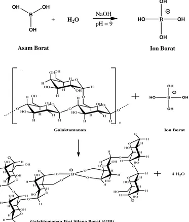 Gambar 4.2 Reaksi Pembentukan Ikat Silang Galaktomanan dengan Ion Borat  