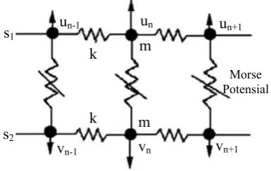 Gambar 3. Solusi soliton pada DNA model 