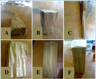 Gambar 1  Keenam potongan sampel uji: Sampel A, B, C, D, E dan F 