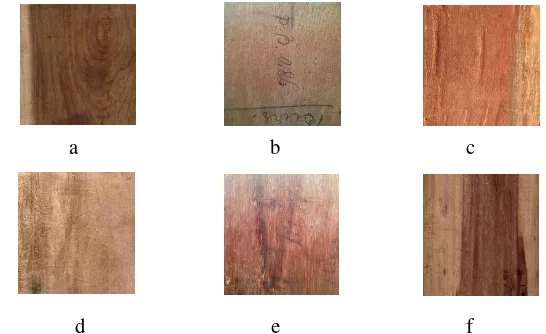 Gambar 4  Warna dan corak kayu: (a) Sampel A; (b) Sampel B; (c) Sampel C; (d) Sampel D; (e) Sampel E; (f) Sampel F 