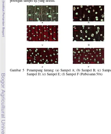 Gambar  5  Penampang lintang: (a) Sampel A; (b) Sampel B; (c) Sampel C; (d) 