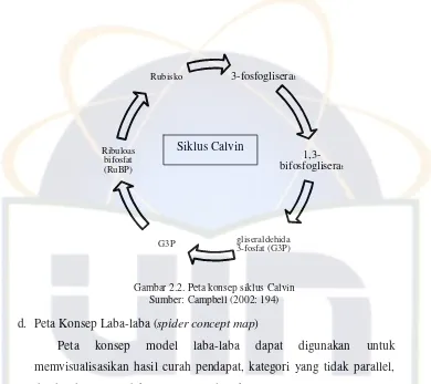 Gambar 2.2. Peta konsep siklus Calvin 