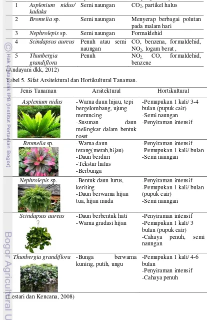 Tabel 5. Sifat Arsitektural dan Hortikultural Tanaman. 