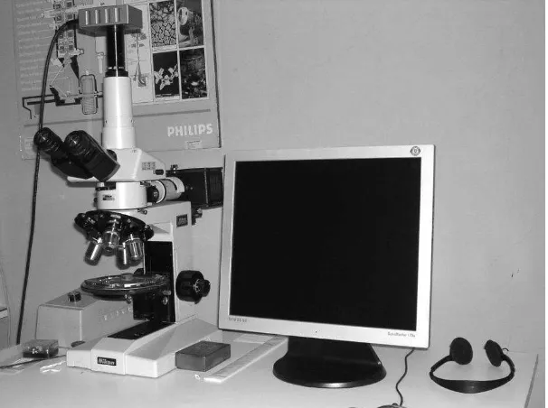 Gambar 5.5 Scanning Electron Microscope – Energy Dispersive Spectroscope 