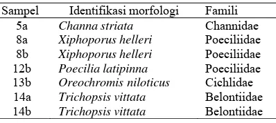 Tabel 1 Hasil identifikasi morfologi spesimen ikan 