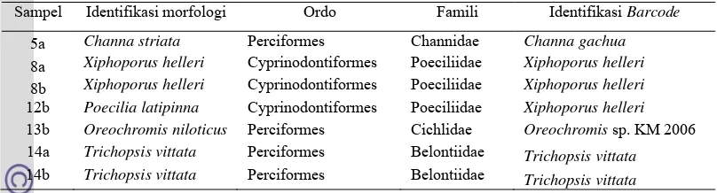 Tabel 2 Hasil identifikasi morfologi dan barcode 