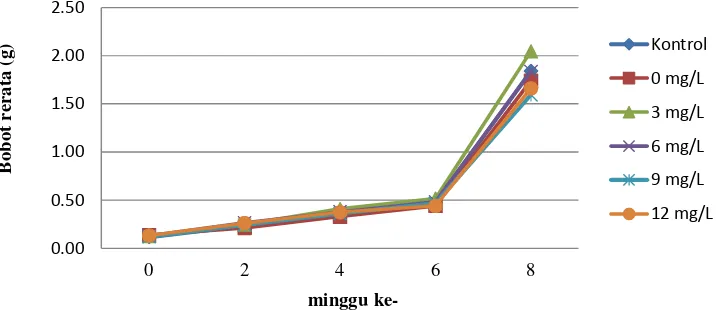 Gambar 1. Pertumbuhan bobot rerata ikan sidat kontrol dan yang telah direndamdalam larutan rHP ikan kerapu kertang, yang dipelihara selama 8 minggu.