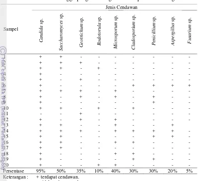 Tabel 7 Jenis cendawan yang ditemukan pada sampel dangke asal beberapa industri rumah tangga pengolah dangke di Kabupaten Enrekang 