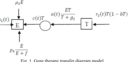 Fig. 1. Gene therapy transfer diagram model. 