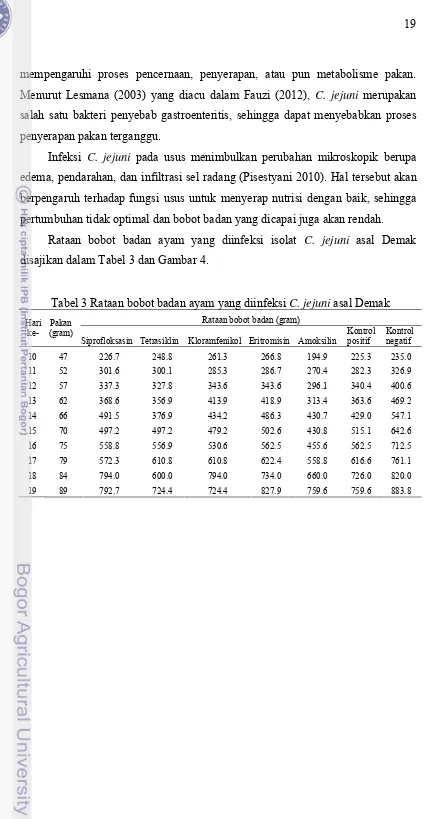 Tabel 3 Rataan bobot badan ayam yang diinfeksi C. jejuni asal Demak 
