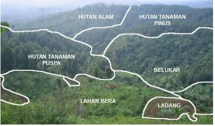 Gambar 3.  Lanskap Hutan Lindung G. Sawal, Ciamis – Jawa Barat