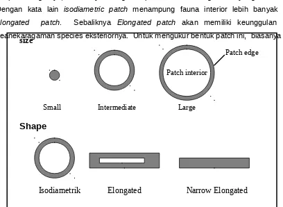 Gambar 7.  Interior dan Edge berdasarkan ukuran bentuk patch
