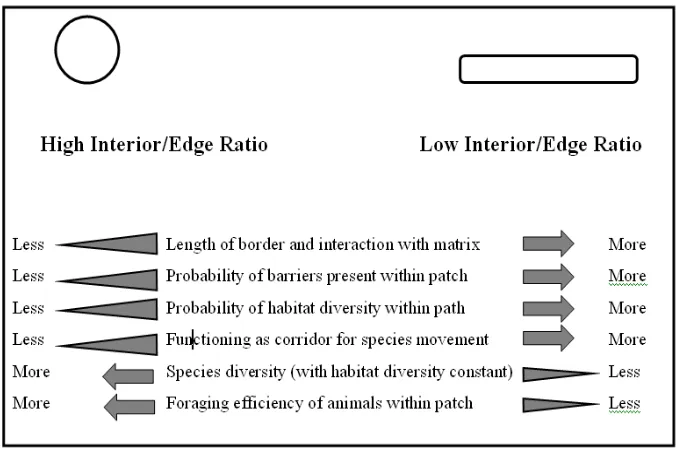 Gambar 8.  Bentuk patch dikaitkan dengan fungsinya sebagai habitat